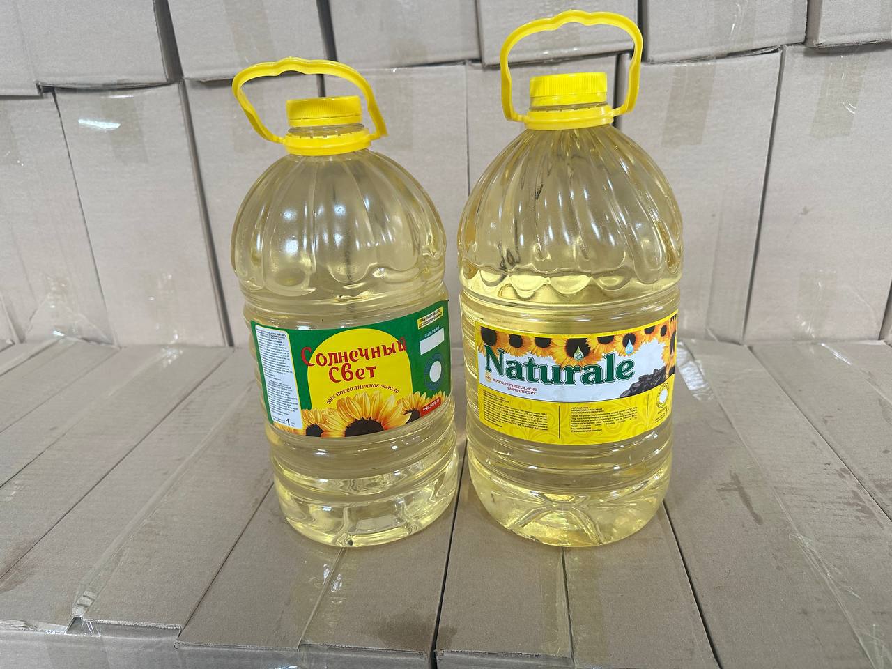 Россия, Қозоғис