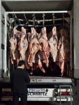 Қозоғистондан ю