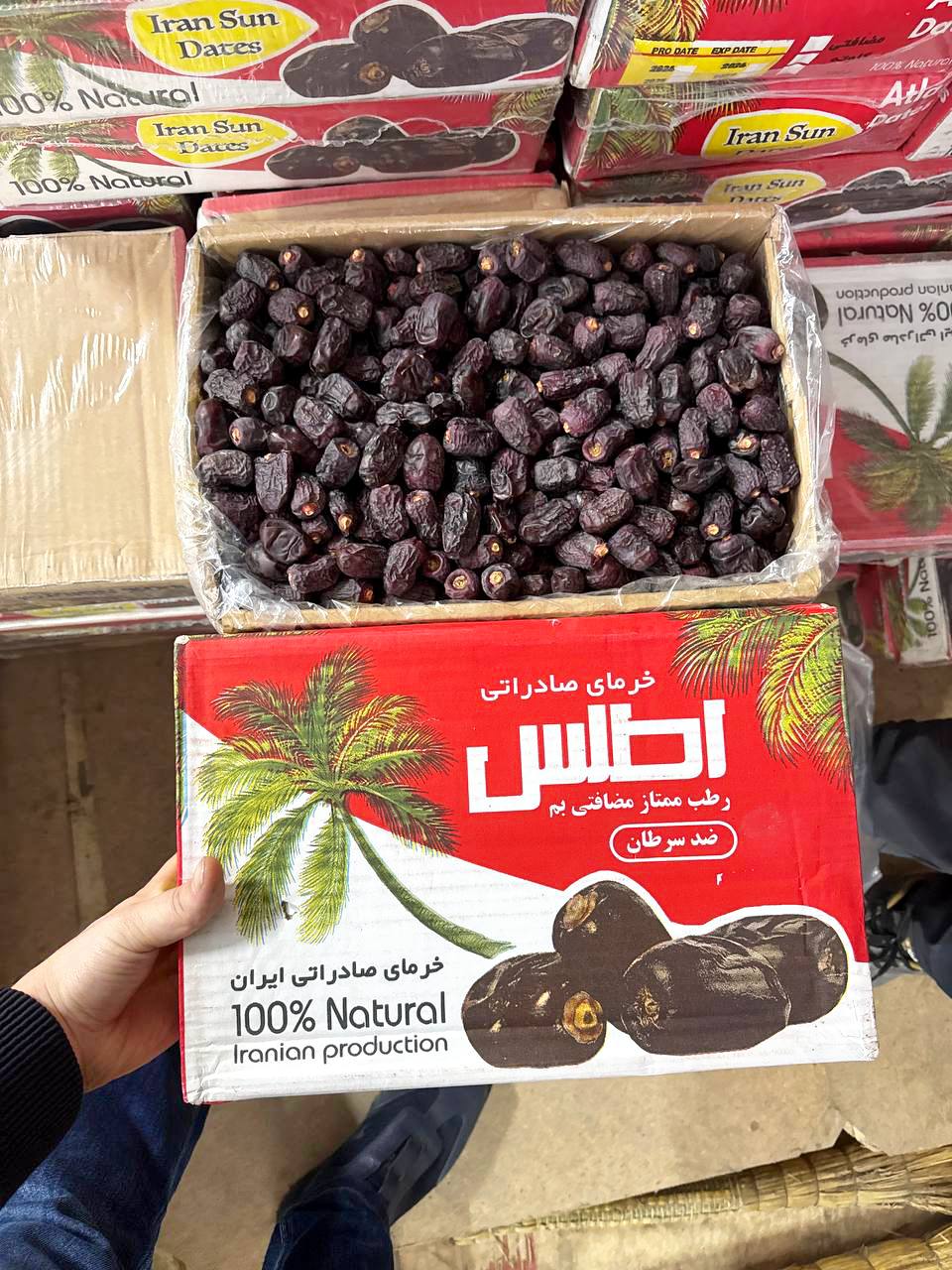 Хурмолар келди!