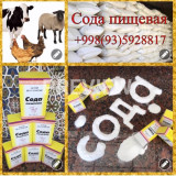 Озуқа содаси (н