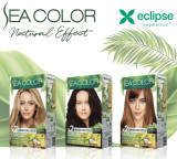 Eclipse Retail 