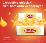 "Chippolino chi